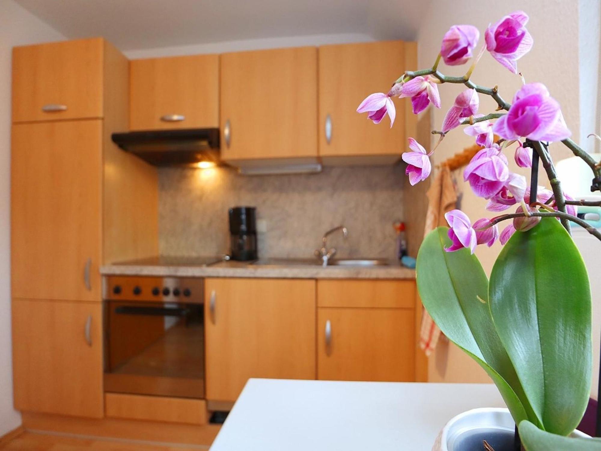 Cozy Apartment In Schwenningen With Garden Филлинген-Швеннинген Экстерьер фото