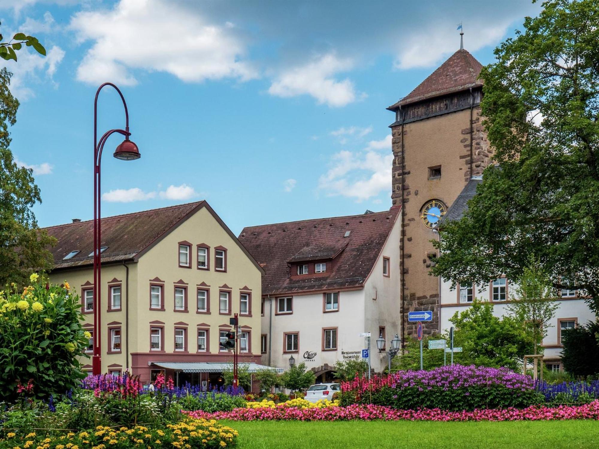 Cozy Apartment In Schwenningen With Garden Филлинген-Швеннинген Экстерьер фото