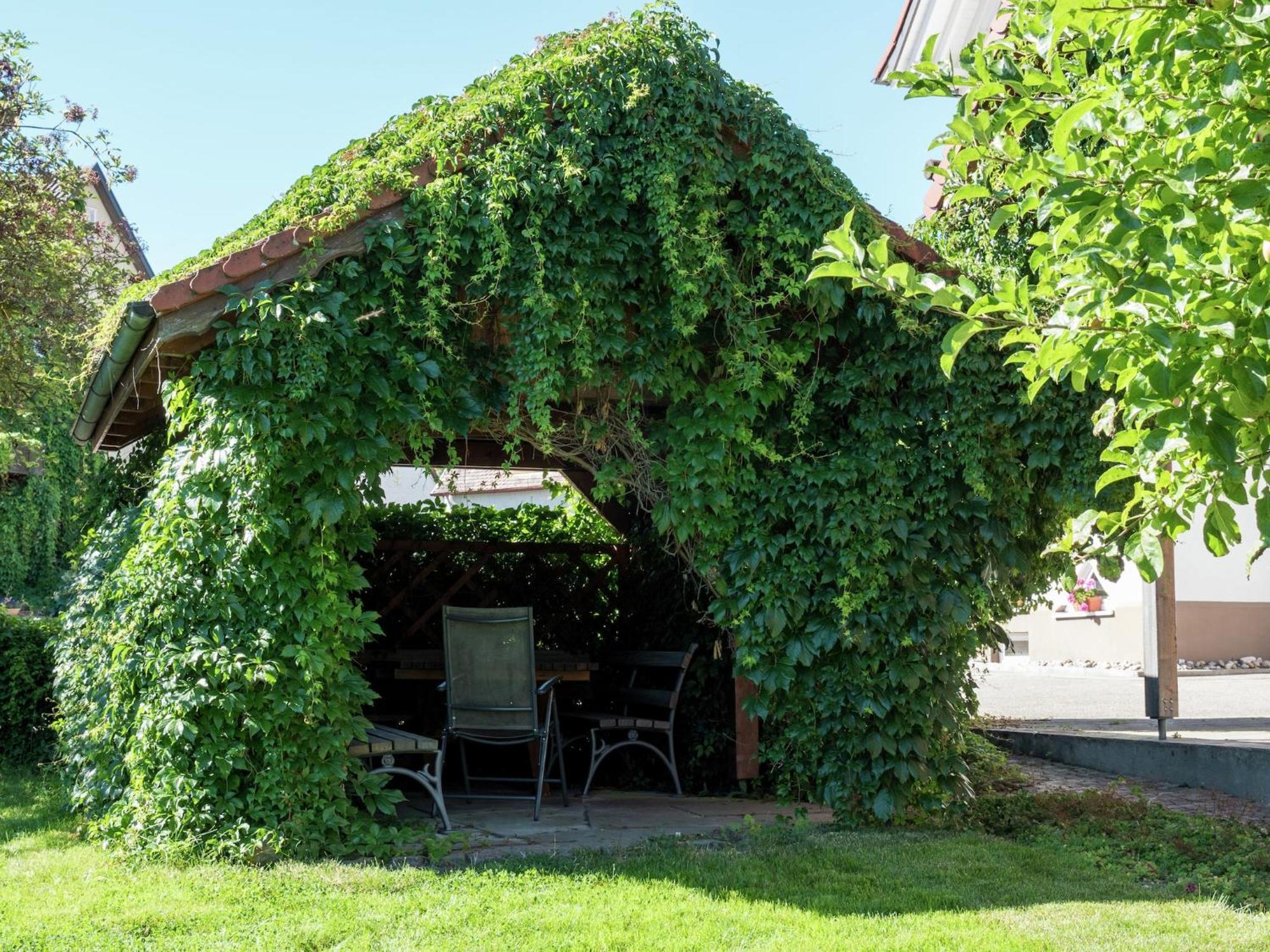 Cozy Apartment In Schwenningen With Garden Филлинген-Швеннинген Экстерьер фото